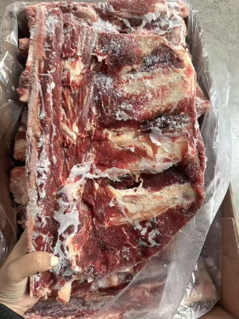 牛腰椎骨