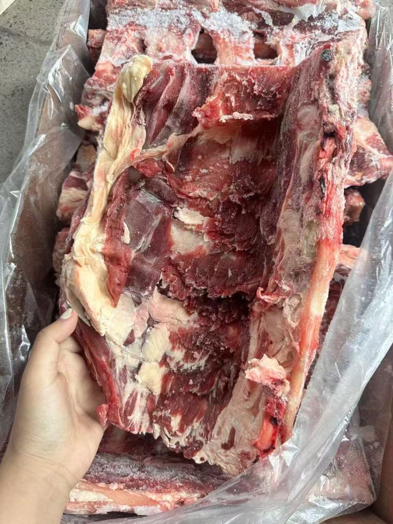 牛腰椎骨