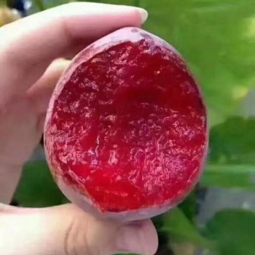 桃形李