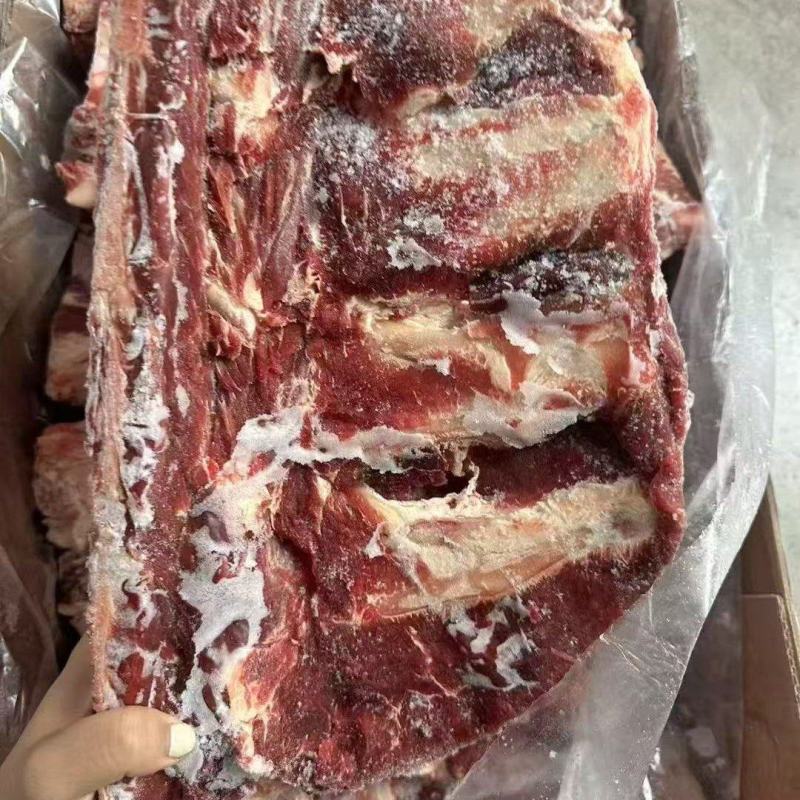 牛腰椎骨
