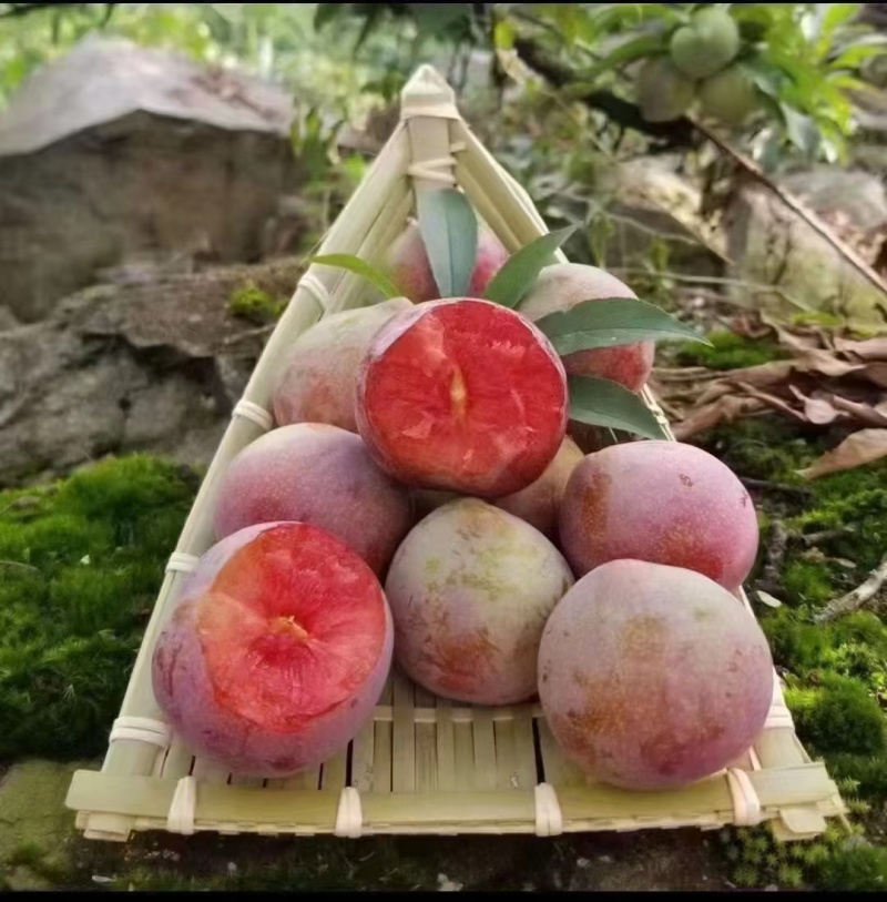 桃形李