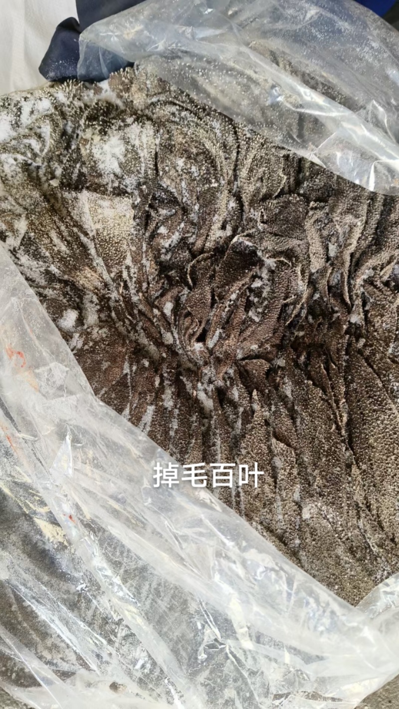 牛百叶