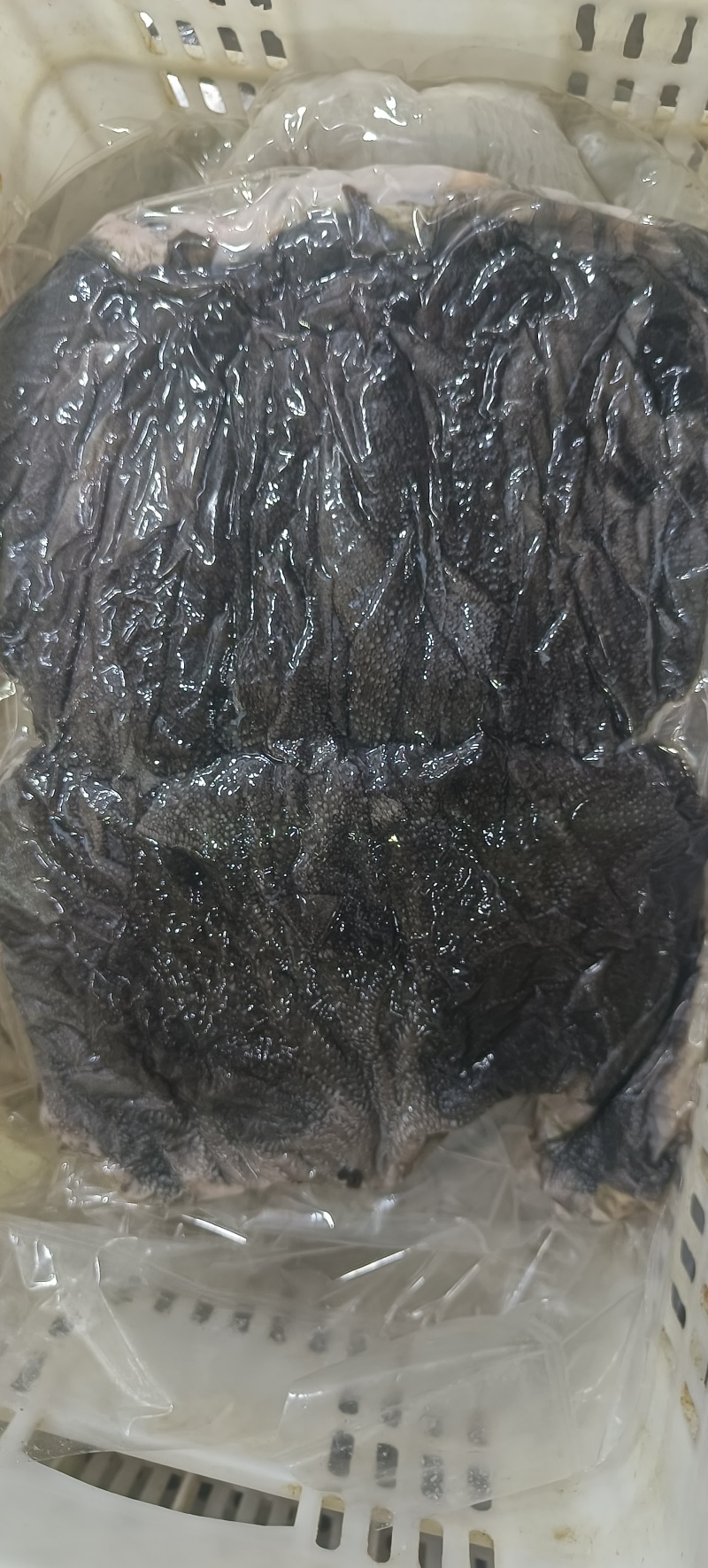 牛百叶