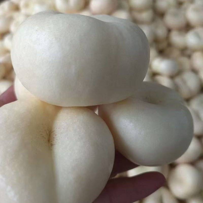 蒙阴奶油蟠桃，奶油蟠桃，一件起批，坏果包赔欢迎下单质询