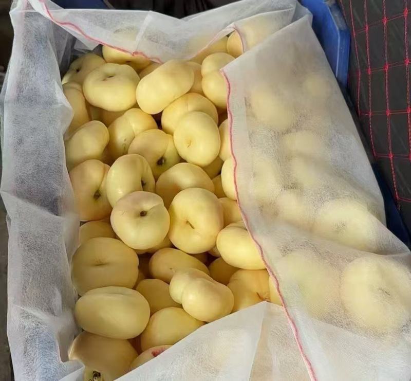 蒙阴奶油蟠桃，奶油蟠桃，一件起批，坏果包赔欢迎下单质询