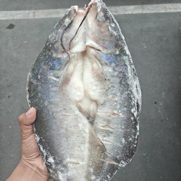 去腥清江鱼（腌制去腥口感嫩）