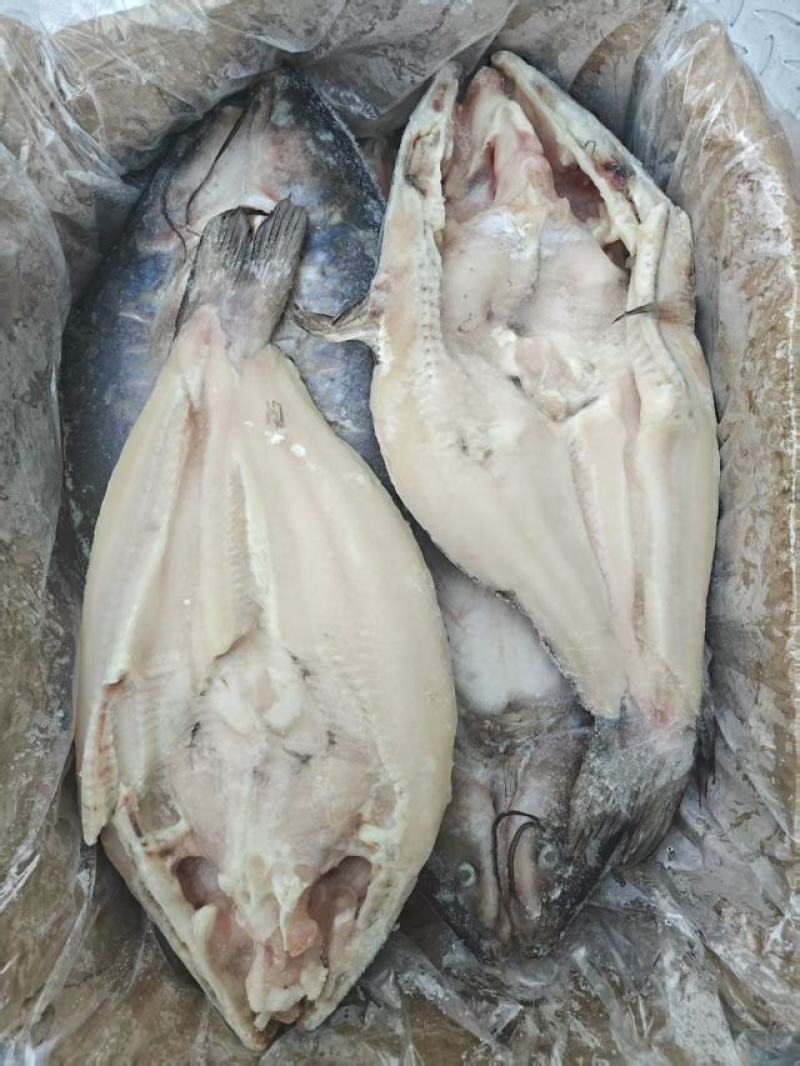 去腥清江鱼（腌制去腥口感嫩）