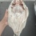 去腥清江鱼（腌制去腥口感嫩）