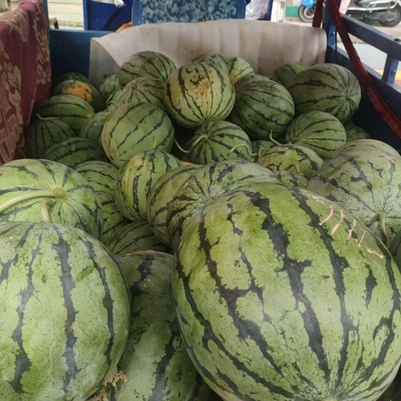 江西麒麟西瓜一手货源质量保证，对接全国，视频看货