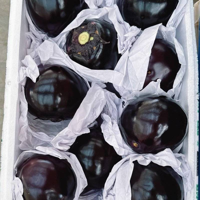 山东一级紫皮圆茄，山东寿光A级精品圆茄，山东寿光紫皮圆茄