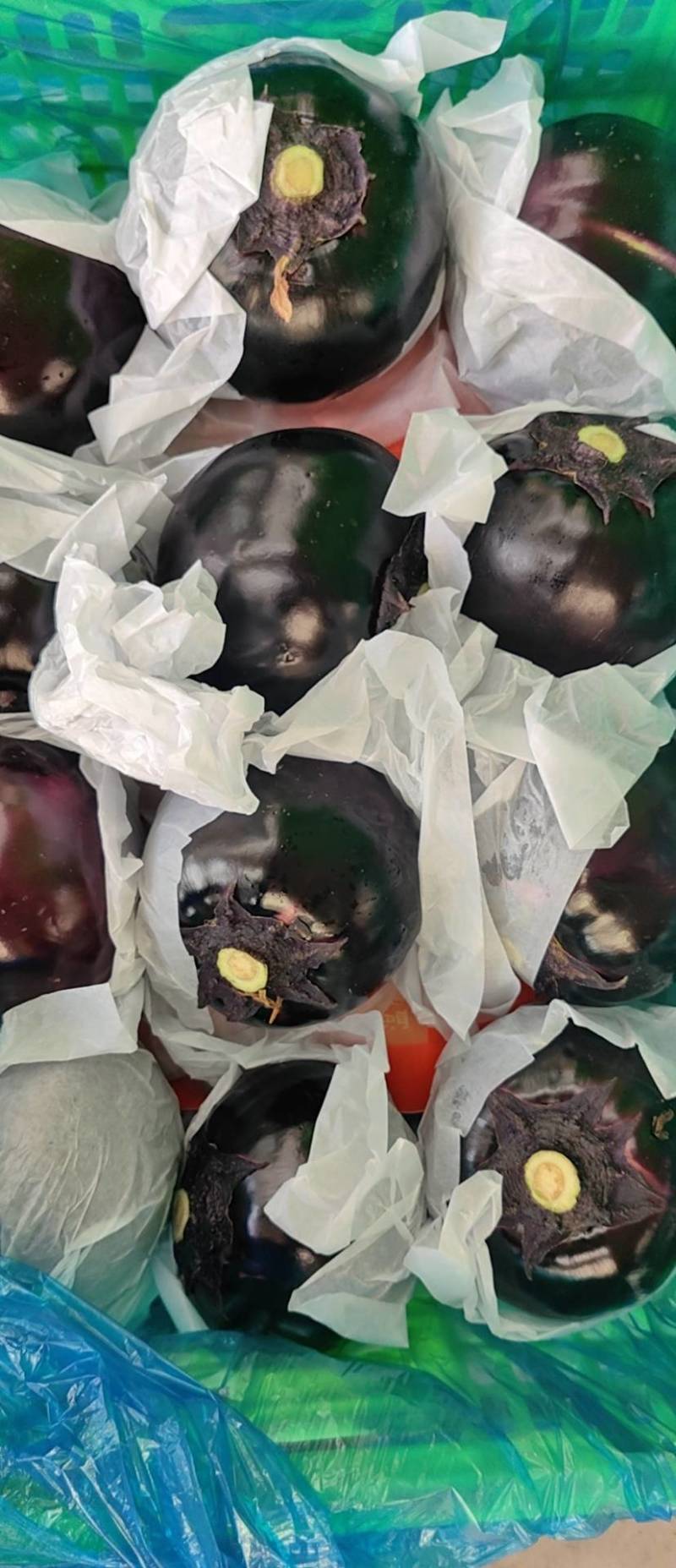 山东一级紫皮圆茄，山东寿光A级精品圆茄，山东寿光紫皮圆茄