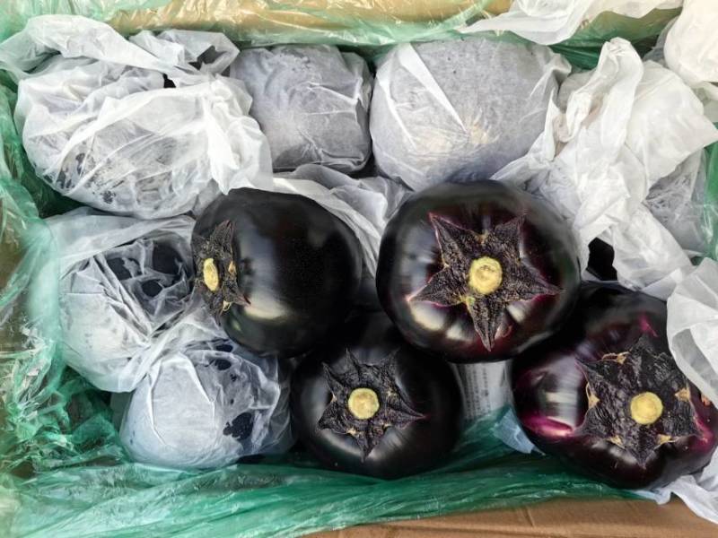 山东一级紫皮圆茄，山东寿光A级精品圆茄，山东寿光紫皮圆茄