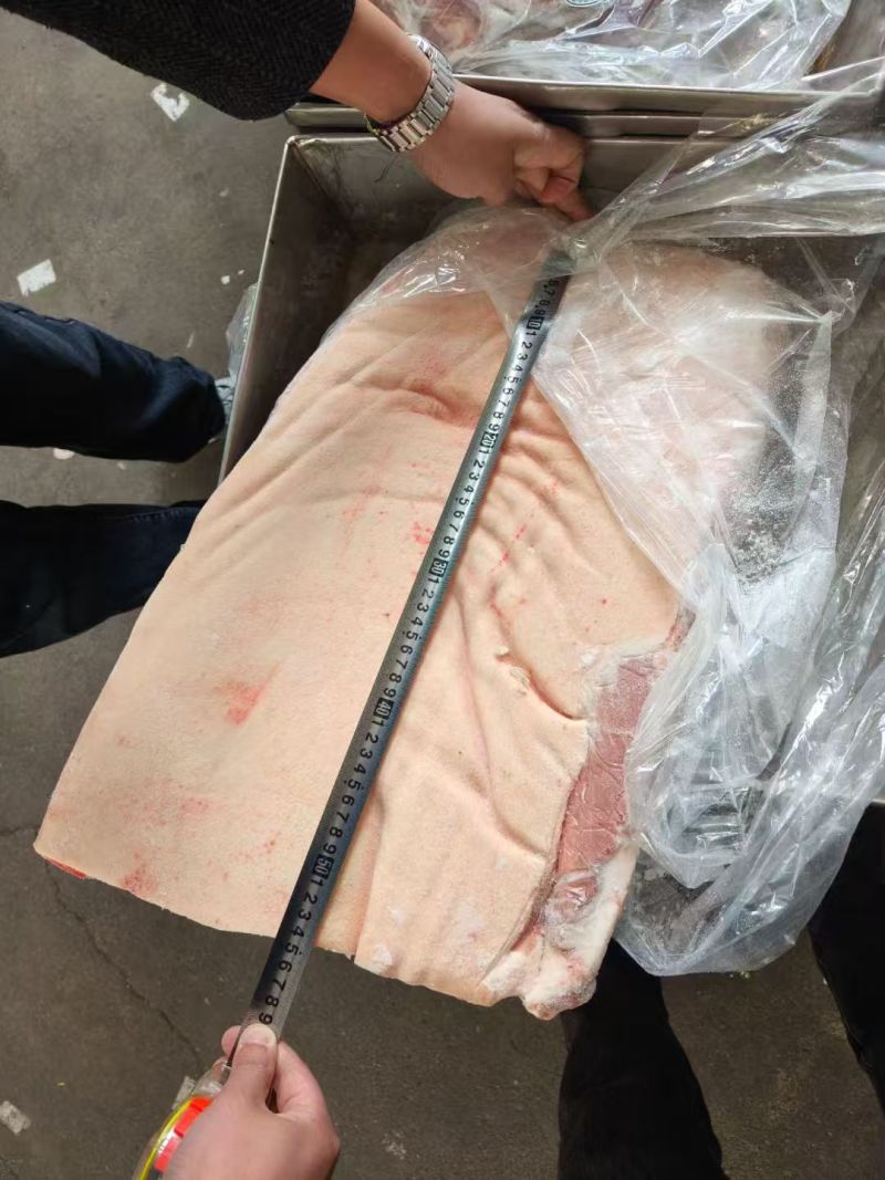 出售，后备母一级带皮五花压板整车量大新开检