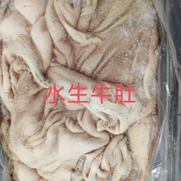 八分黑牛肚，半成品金钱肚，全肚，肚领，肚叉