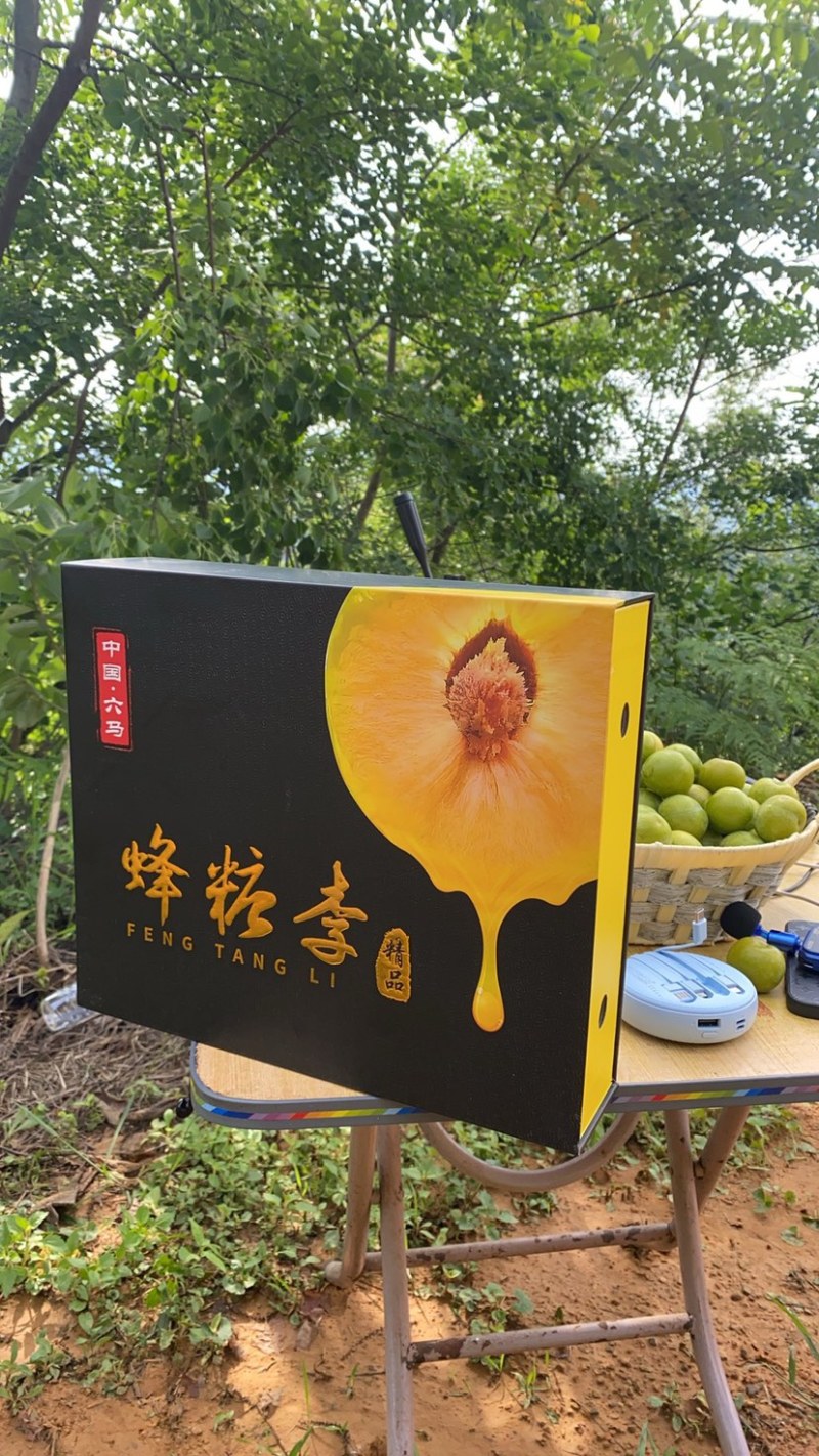 正宗六马蜂糖李假一陪百