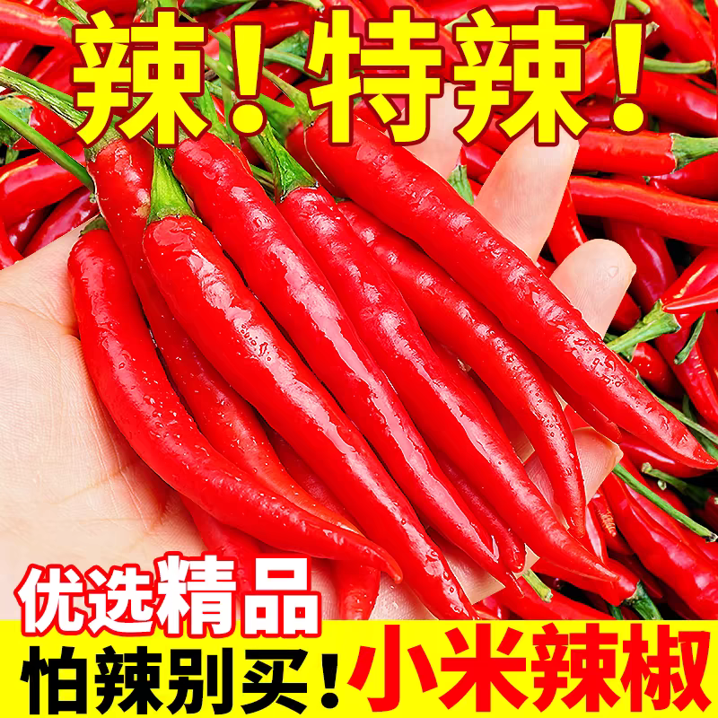 《小米椒》商丘小米椒/朝天辣/产地货源/全国供应批发