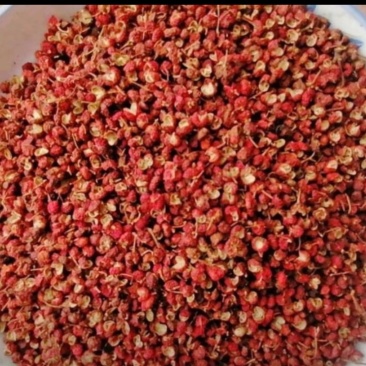 陕西大红袍食用花椒