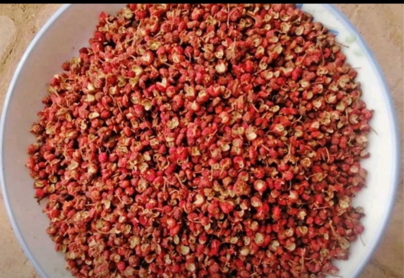 陕西大红袍食用花椒