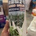 密甜糯2号甜加糯玉米种子矮杆大穗好吃高产