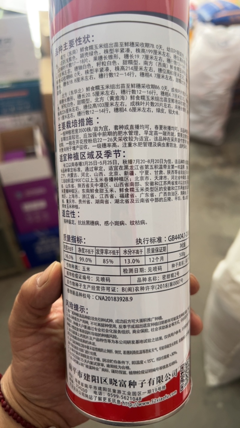 密甜糯2号甜加糯玉米种子矮杆大穗好吃高产