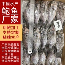 罗非鱼三去加工鲜冻8斤30条装餐饮商用冻品批发