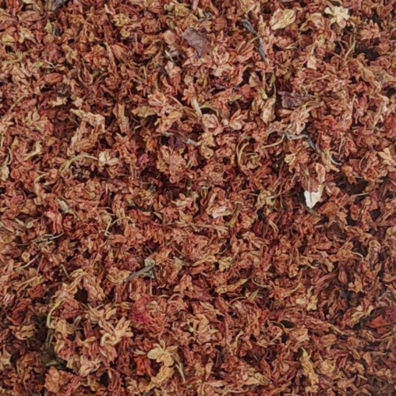 红茉莉花批发