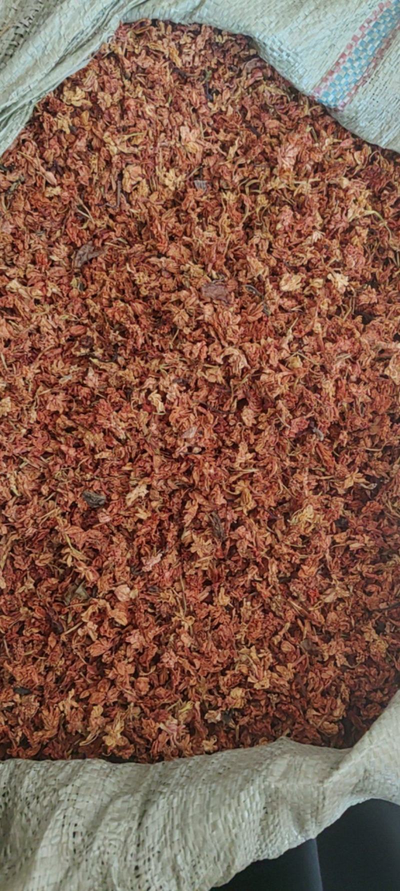红茉莉花批发