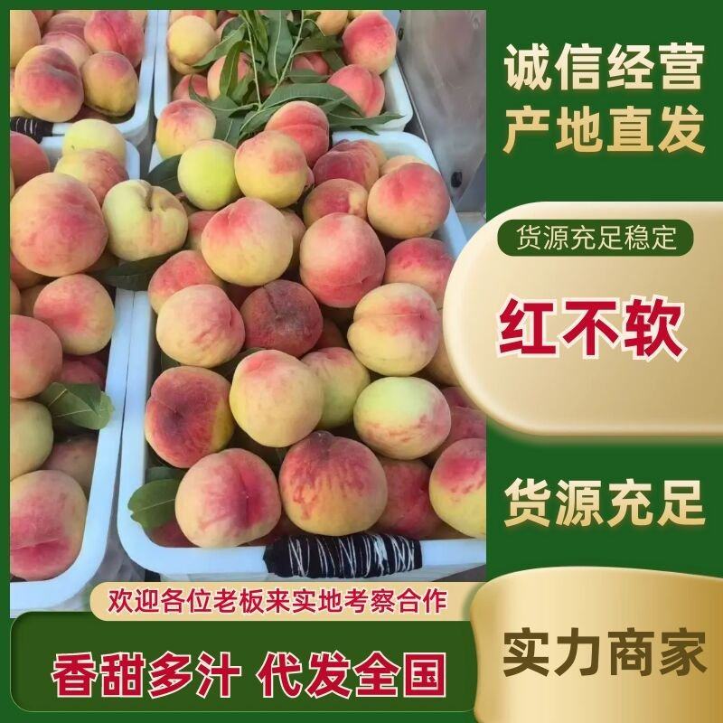 【优质推荐】红不软桃大量有货量大从优品质保障回头客多