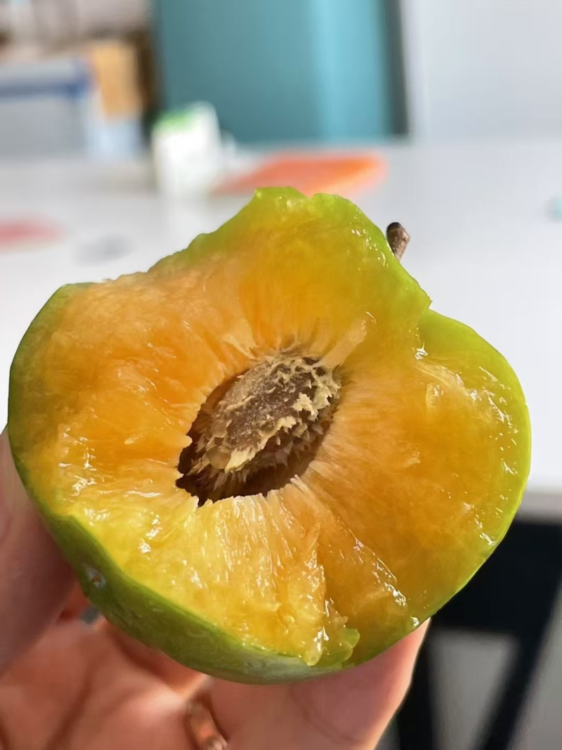 巫山脆李脆甜化渣货源充足价格美丽欢迎来电咨询