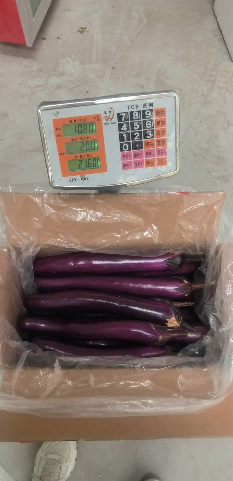 河北一级广茄，河北A级精品广茄，河北广茄
