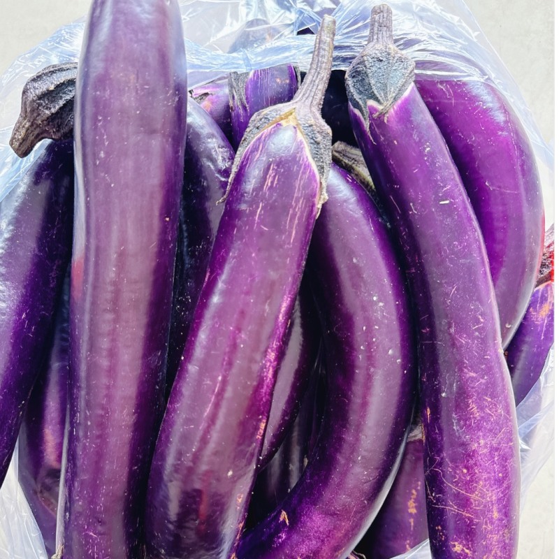 河北一级广茄，河北A级精品广茄，河北广茄