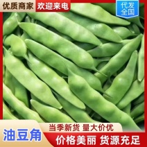 豆角油豆角吉林豆角成色好品质高量大从优欢迎咨询