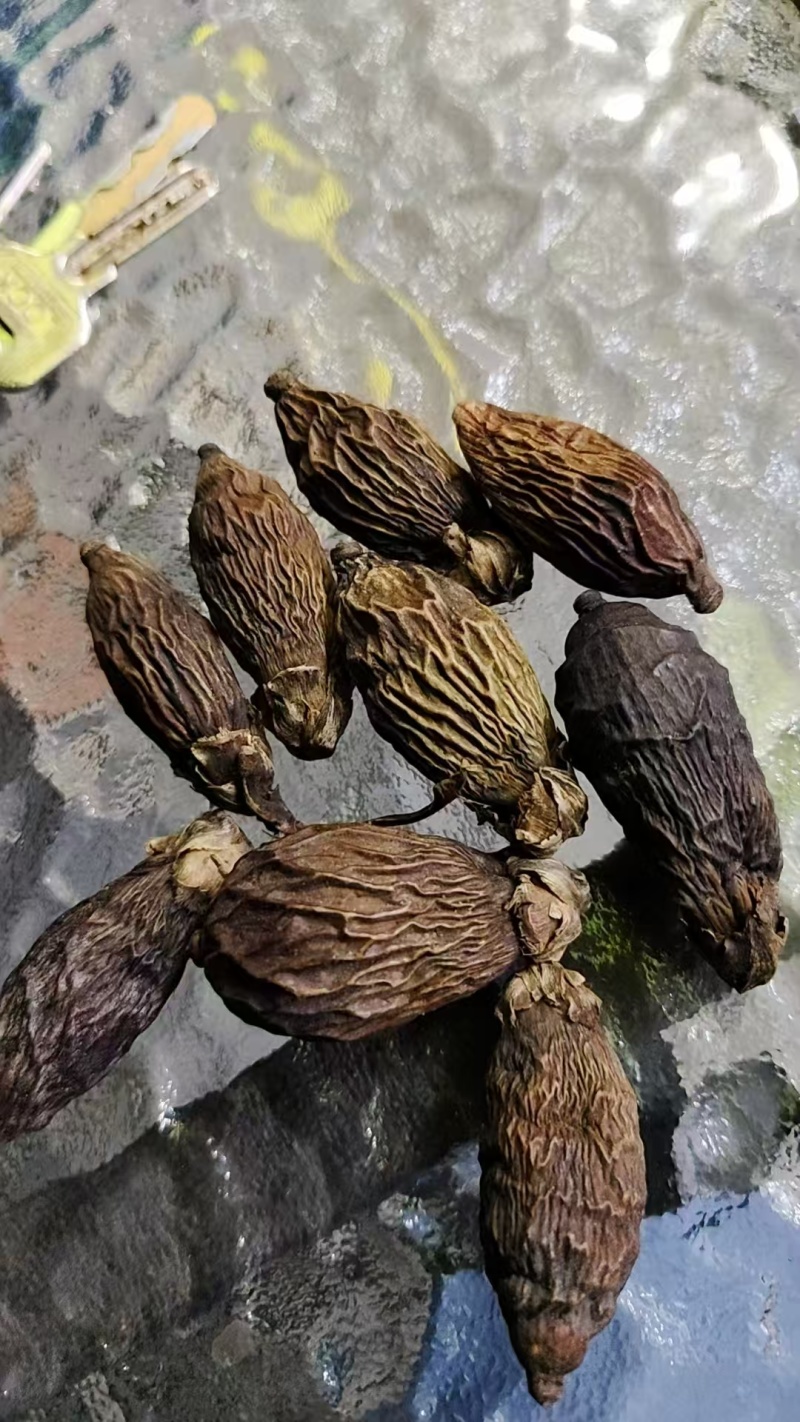 越南槟榔通货