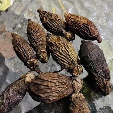 越南槟榔通货