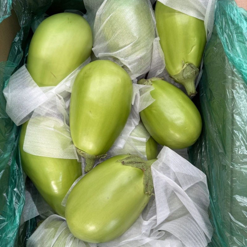 辽宁一级精品绿茄，辽宁A级精品绿茄，辽宁绿茄