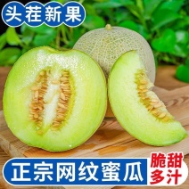 山东网纹玲珑瓜一件代发代办供应商超市场