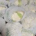【精品花菜】花菜白面青梗花菜松花菜花椰菜河南花菜开封花菜