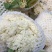 【精品花菜】花菜白面青梗花菜松花菜花椰菜河南花菜开封花菜