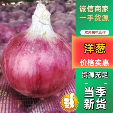 二红大红紫皮洋葱扁洋葱，圆洋葱，水果洋葱河南洋葱