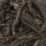 紫草根批发价格