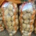 精品沃土土豆4两以上黄皮黄心土豆货量充足