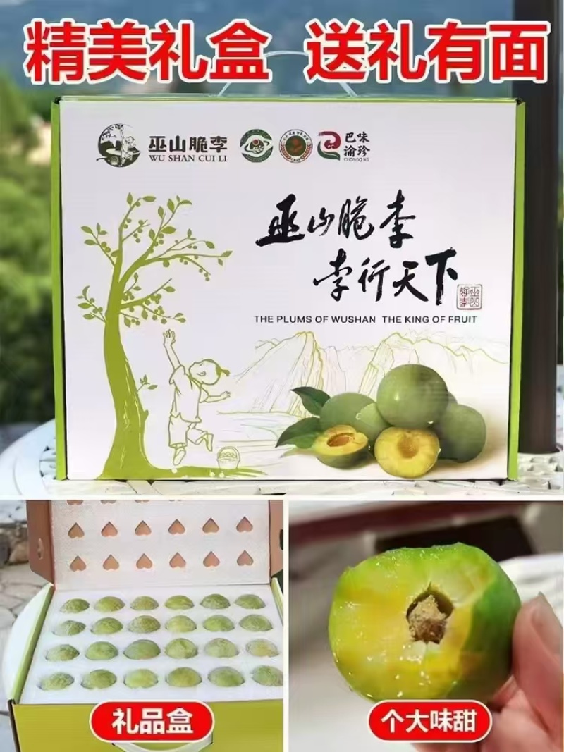 巫山脆李大量有货支持市场货电商一件代发欢迎咨询