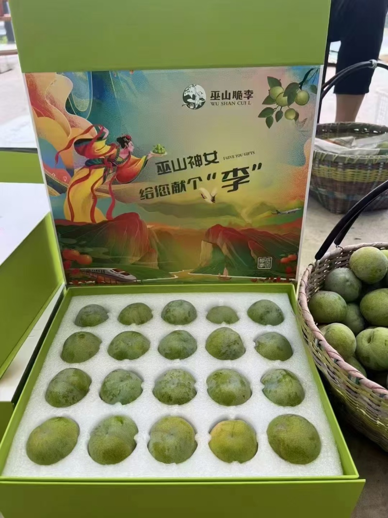 巫山脆李大量有货支持市场货电商一件代发欢迎咨询