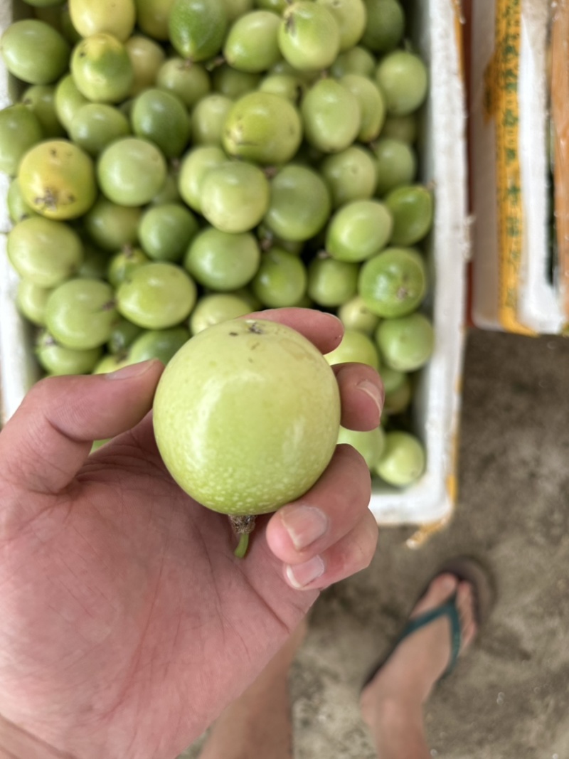 精品黄金百香果大量上市