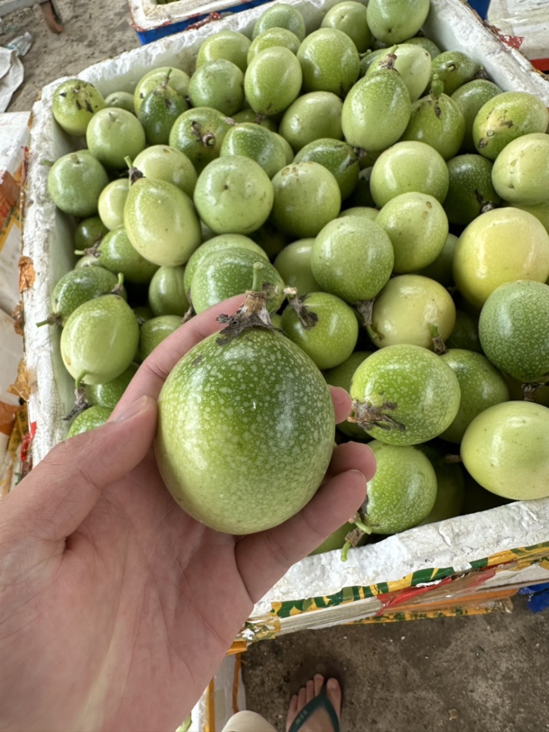 精品黄金百香果大量上市