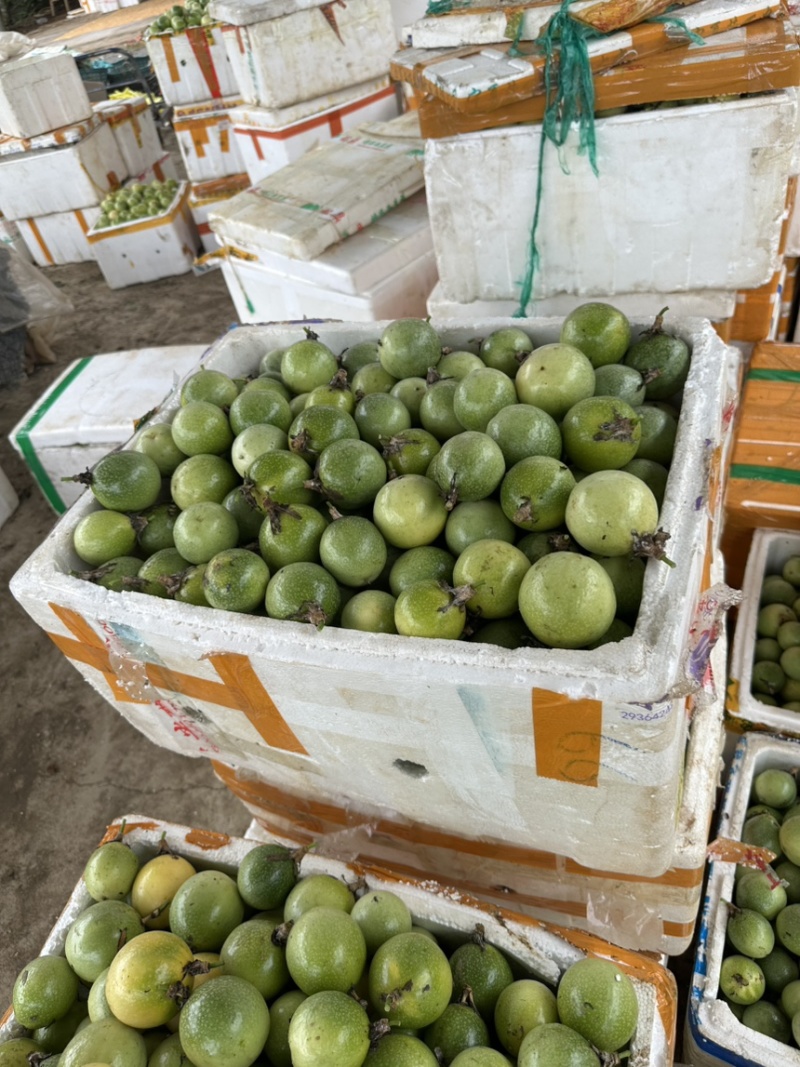 精品黄金百香果大量上市