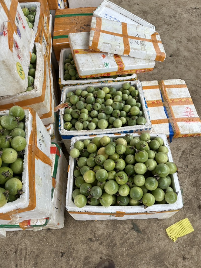 精品黄金百香果大量上市