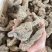 【焦作精品】生地黄片可视频看货量大从优，欢迎咨询
