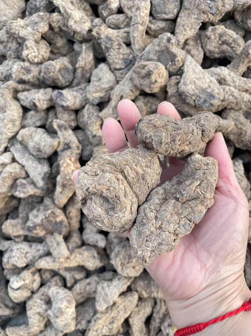 【焦作精品】生地黄片可视频看货量大从优，欢迎咨询
