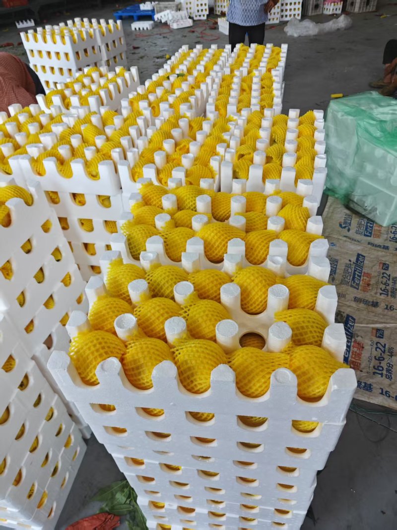 湖北红心黄桃新鲜桃子脆甜店管家对接平台一件代发